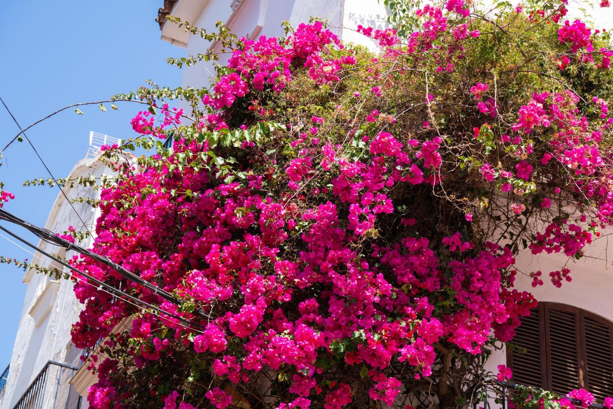 Marbella Luxury Duplex 106 Close To The Beach Exteriör bild
